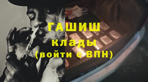 прущие грибы Абаза