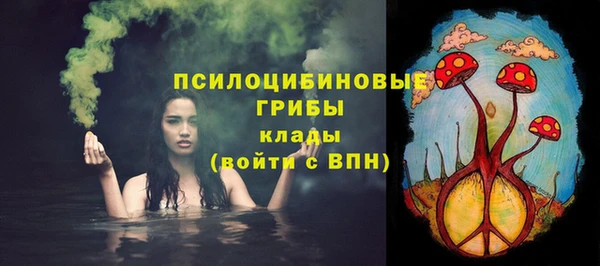прущие грибы Абаза