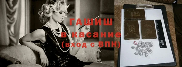 прущие грибы Абаза