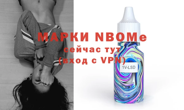 прущие грибы Абаза