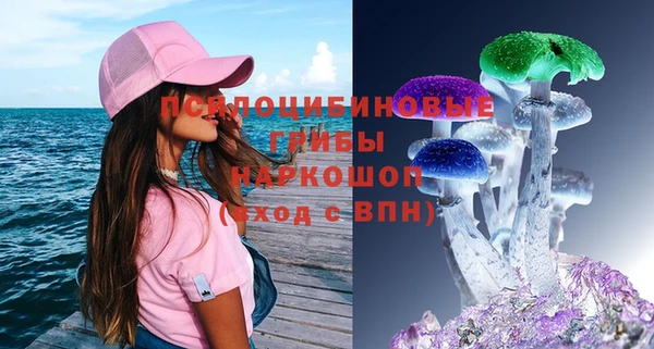 прущие грибы Абаза