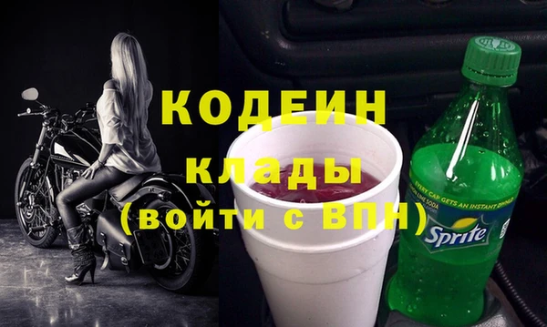 прущие грибы Абаза
