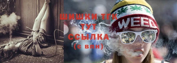 прущие грибы Абаза